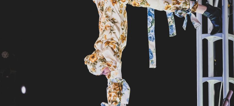 1er novembre – 13h – BESTIAIRE/VESTIAIRE – Maison de la